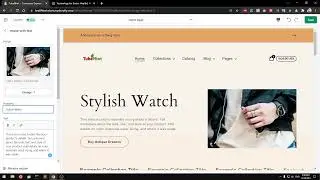 How to Customize Shopify Express Theme