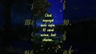 Доброй ночи, любимая