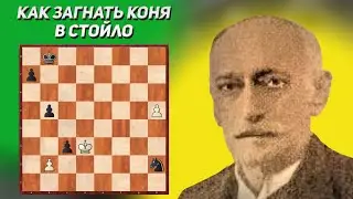 Как загнать коня в шахматное стойло. Шахматный этюд. Артур Хаваши. Издание 