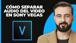 Cómo separar audio del video en sony vegas