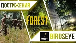 Достижения The Forest - Birdseye