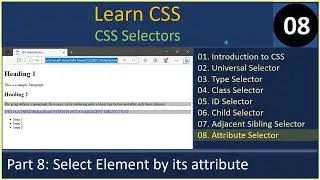 CSS Selectors | Part 8 - Attribute Selector | CSS Tutorials #08