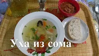 ЛУЧШАЯ УХА ИЗ СОМА. Босяцкая кухня.