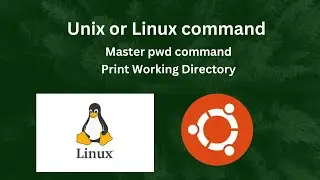 Master the Unix pwd Command | Complete Tutorial