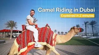 Dubai Desert Safari | Camel Riding