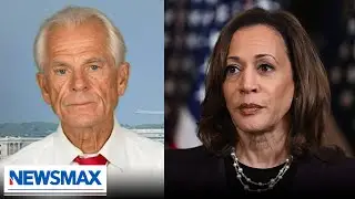 Peter Navarro: Kamala Harris has done damnable things to this country