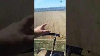 овес на сено ешка !кошу немкой