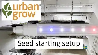 LED Grow Light setup for pre seeding - Full Spectrum, Community grow, urban grow, indoor plants