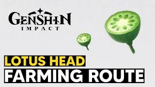 Lotus Head Farming Route (Lotus Head Location) - Genshin Impact