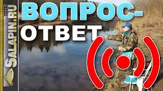 Поговорим о рыбалке. Вопрос-ответ. 18.04.2020