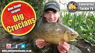 How to catch giant crucian carp - see a near record on camera!