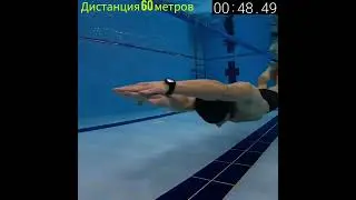 фридайвинг в бассейне DYN, 60 метров в моноласте | freediving