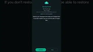 Forgot WhatsApp End To End Encryption google drive backup  password