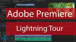 Basic Workflow of Adobe Premiere Pro