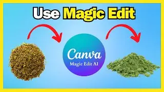 How To Use Magic Edit in Canva