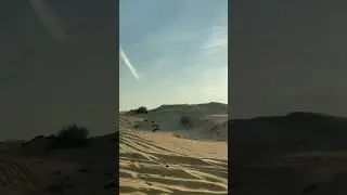 Dubai Dune Bashing | Desert Safari Experience