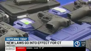 New gun laws are in effect