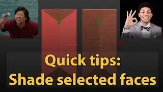 Quick tips: Shade Selected Faces in the 3dsMax viewport