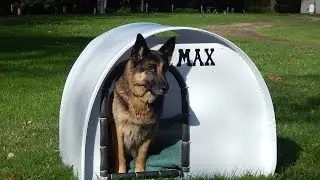 DIY doghouse for $35