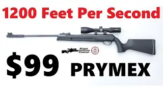 Testing Pyramyd's CHEAPEST Break Barrel Air Rifle (Umarex PRYMEX) Review in .177 or .22