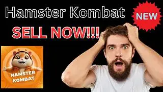 How To Calculate Your Hamster Kombat Token Using Profit Per Hour Hamster Kombat CEO Reveals | Earn