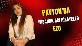PAVYON - Zilli Dilek Ezo
