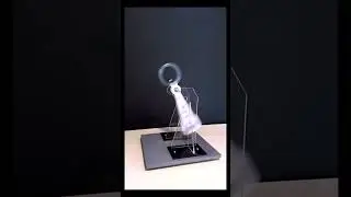 Perpetual pendulum  