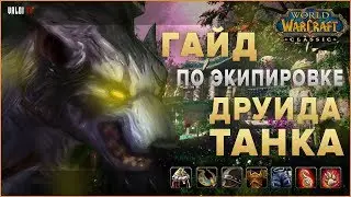 Гайд по экипировке Друида ТАНКА (Druid Feral Tank) | World of Warcraft: Classic