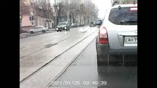 Лось мариупольский не уступает дорогу