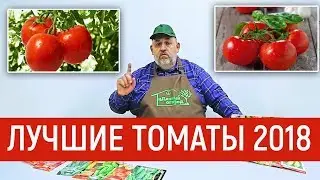 Лучшие томаты на 2018 год! Обзор.