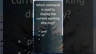 Working Directory #QA #Linux #interview #Questions #OnlineTest #Learn #Shorts #youtubeshorts