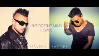 Sean Paul & Faydee - She Doesn't Mind (Remix)