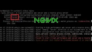 Troubleshot of  Nginx service: Failed with result exit code