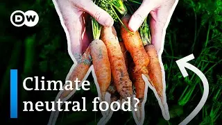 Permaculture: Producing food without destroying the planet