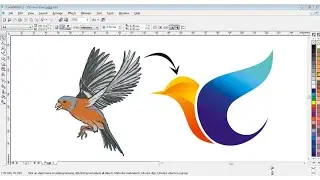 Corel draw Tutorial - Professional Bird Logo Design ।