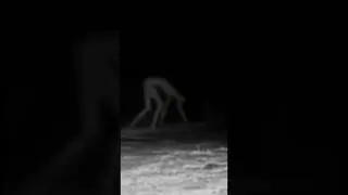 Try not to get scared 😱 