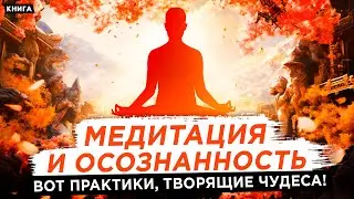 Медитация и осознанность. Эффективные практики в современном мире. Источник Вашей силы. Аудиокнига