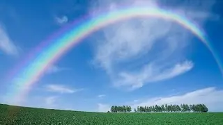 СУПЕР! Мурашки по телу...