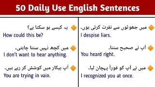 50 Daily Use English Sentences with Urdu Translation | English Speaking Practice |English with Milli