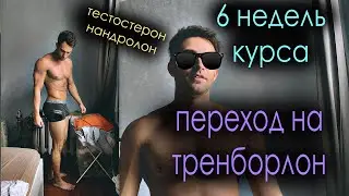 Первый этап курса Тестостерон + Нандролон. Переход на Тренболон, побочки, форма на 5-6 неделе.
