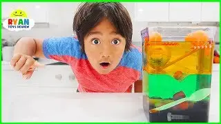 Sink or Float Density Tower Science Experiments for Kids!!!