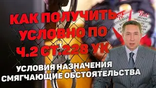 Как получить условное наказание по ч.2 ст.228 УК РФ