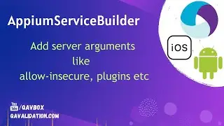 AppiumServiceBuilder | Add server flags or arguments to run appium server programmatically