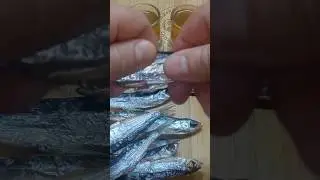 Выходные без рыбалки я представить не могу 
