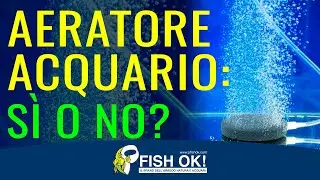 🌬️ Aeratore Acquario: sì o no?