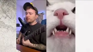 i made a song about this cat (demo version)