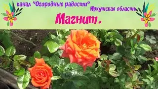 Маленькая хитрость. Магнит.