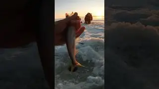 КРУПНЯК ПОШЁЛ 🎣 зимняя рыбалка на корюшку