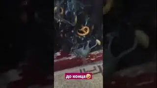 кот попал в мышиную ловушку🥴😱🤣🤣