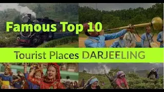 Famous Top 10 Tourist Places in Darjeeling | Top 10 Tourist Places in Darjeeling